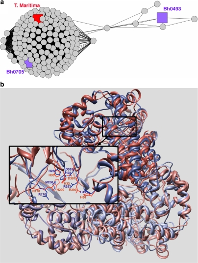 Fig. 4