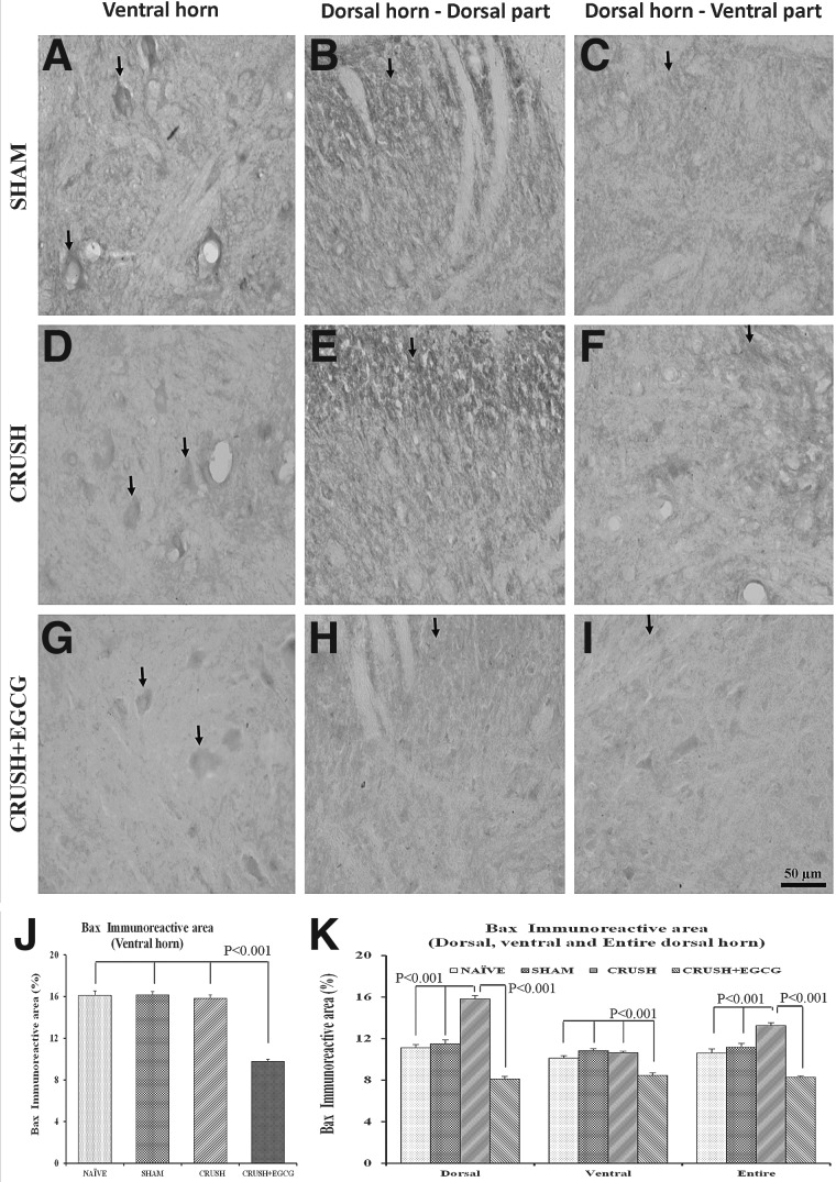 FIG. 12.