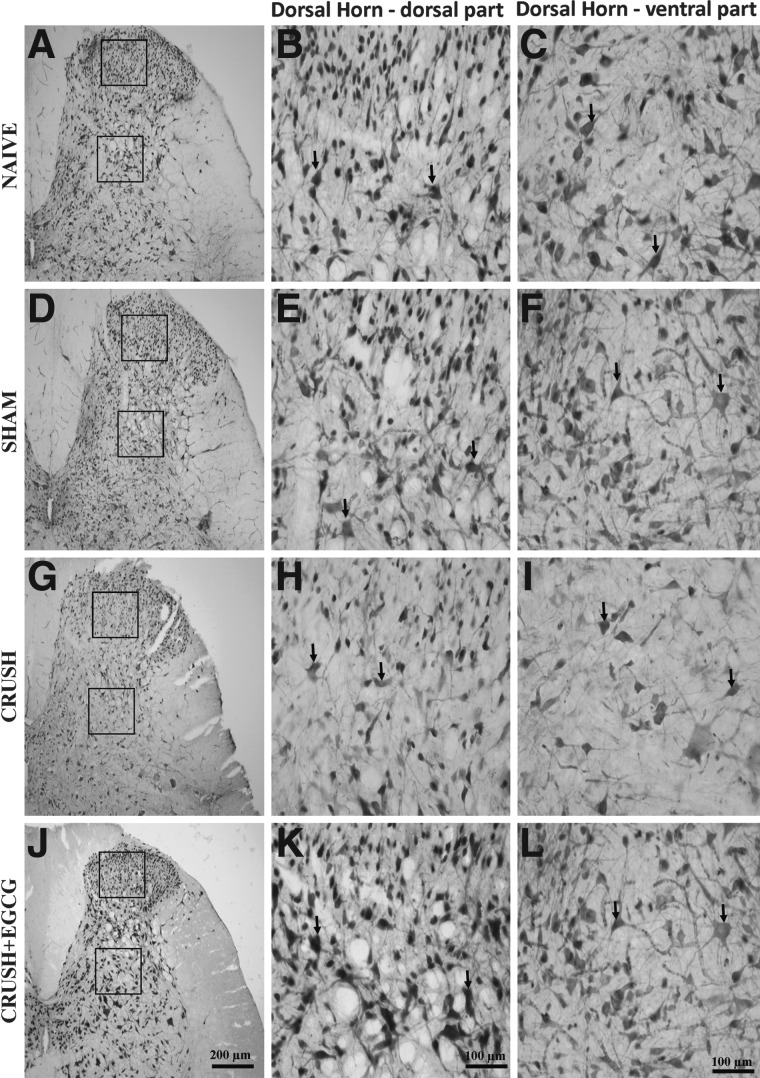 FIG. 7.