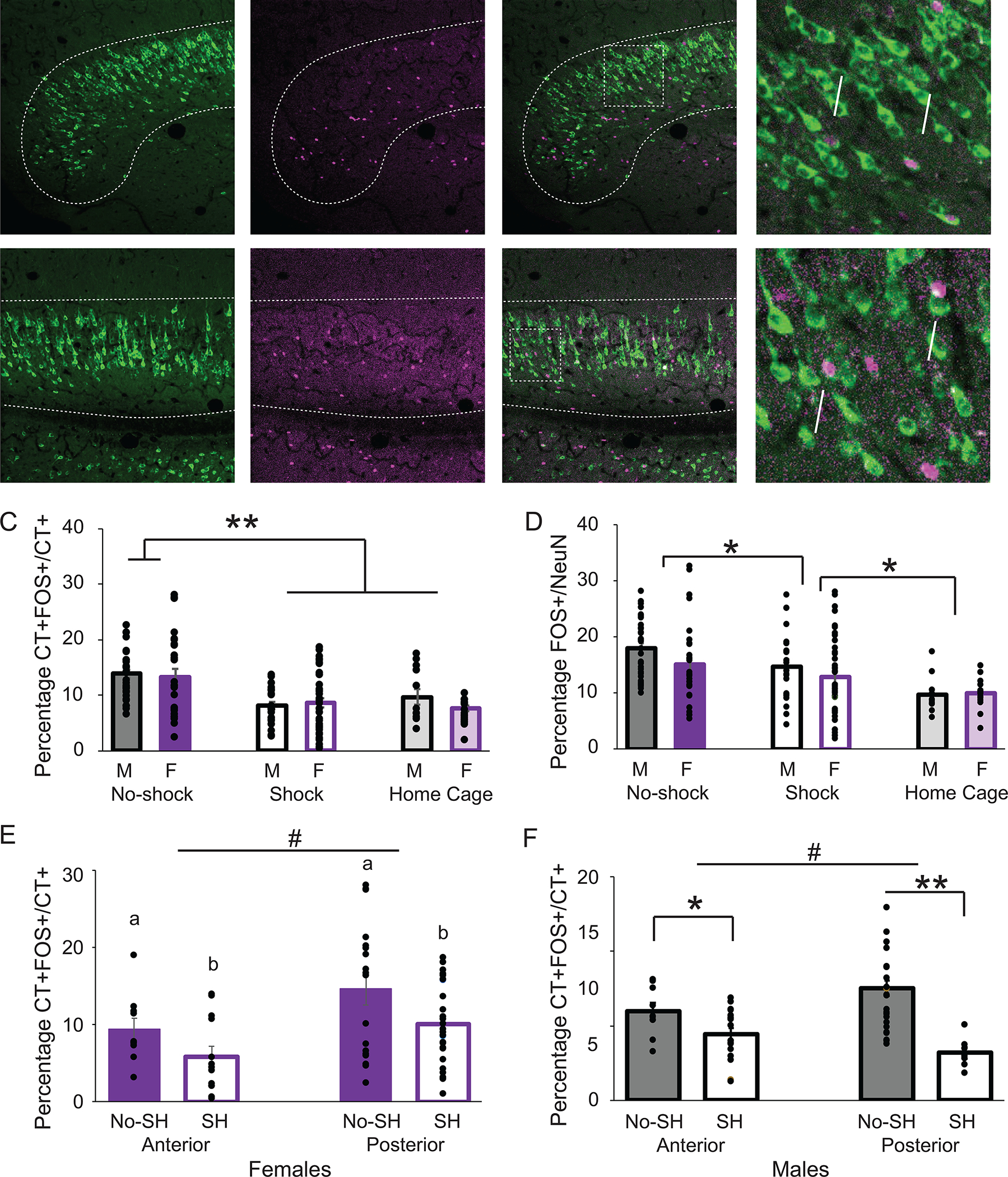 Figure 4: