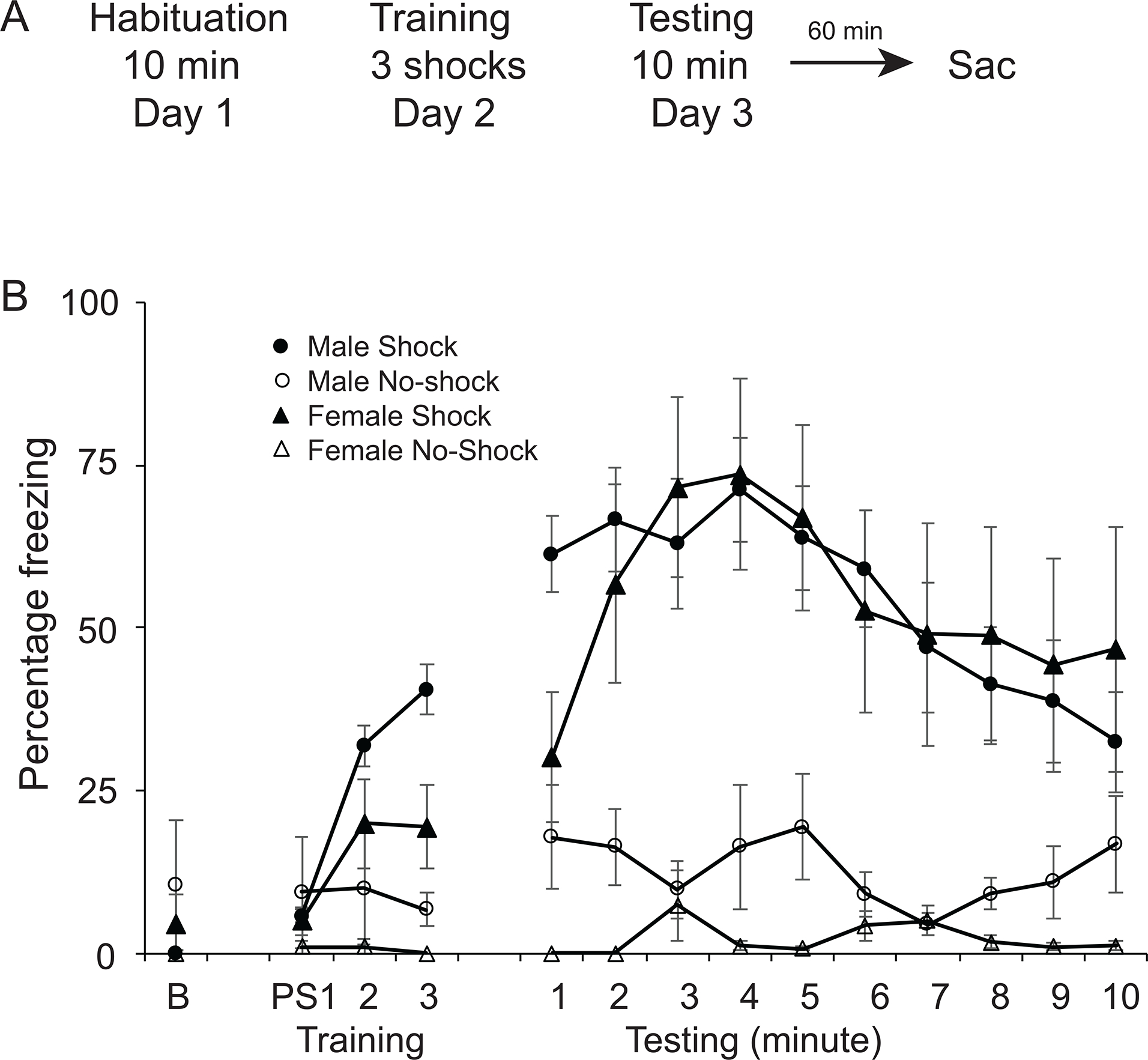 Figure 3: