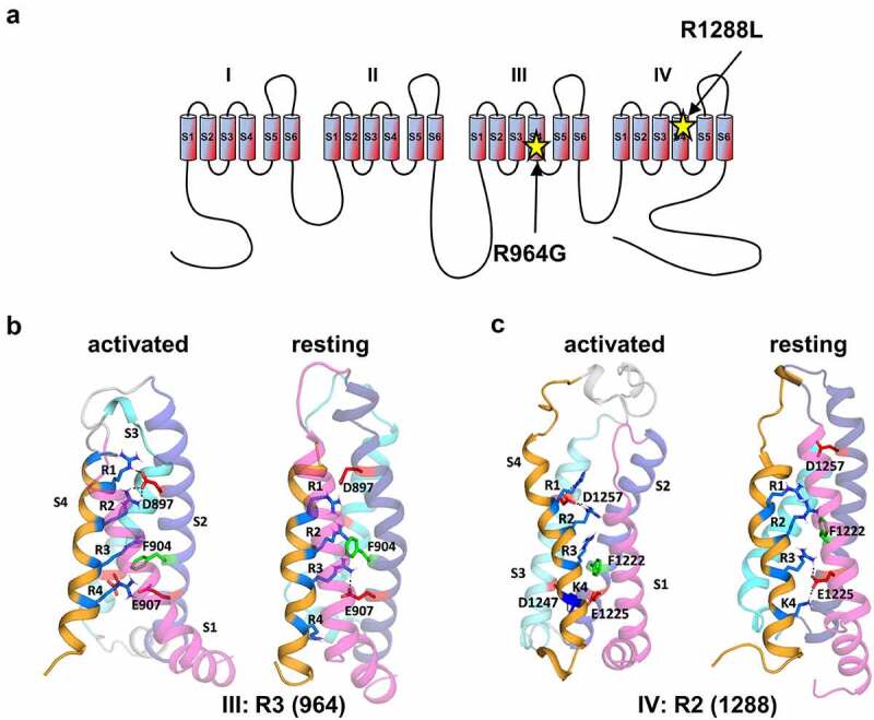 Figure 1.