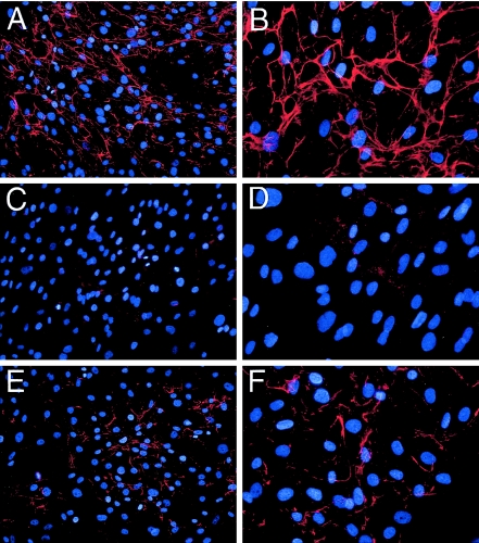 Figure  1