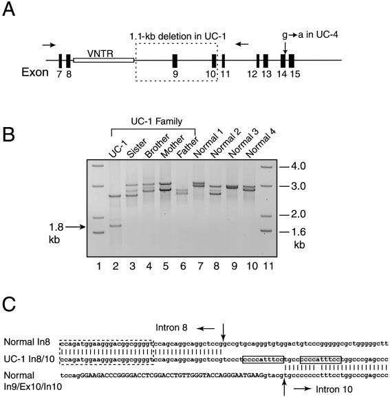 Figure  3