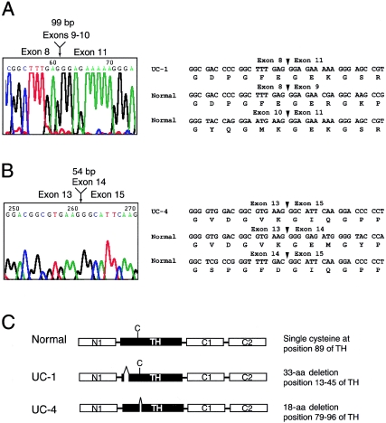 Figure  2