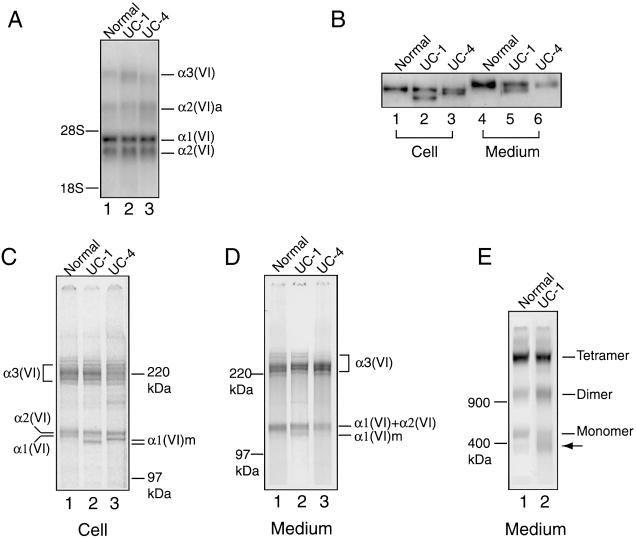 Figure  4