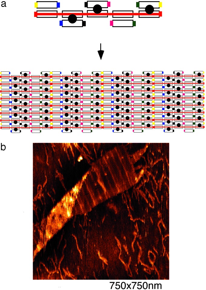 Fig. 4.