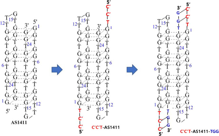 FIGURE 2