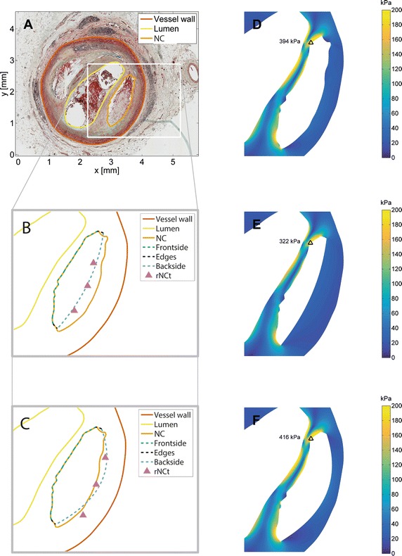 Fig. 4