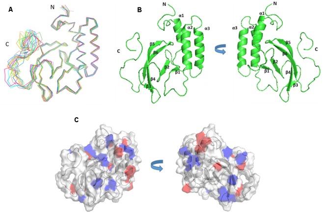 FIGURE 3