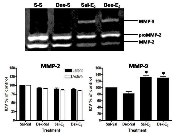 Figure 10