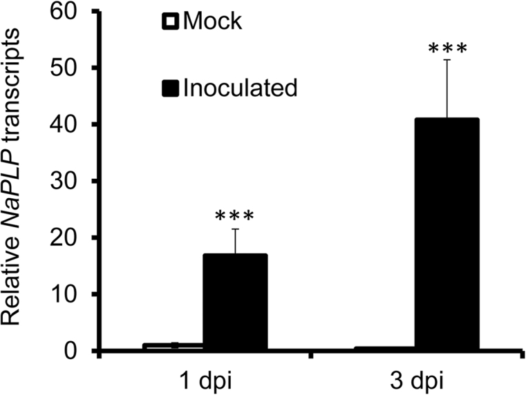 Fig. 2