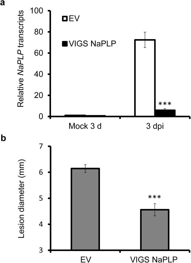 Fig. 3