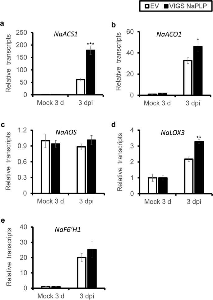 Fig. 4