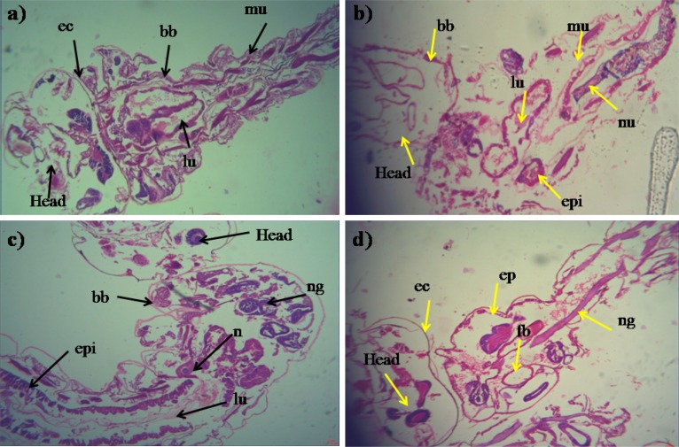 FIGURE 4