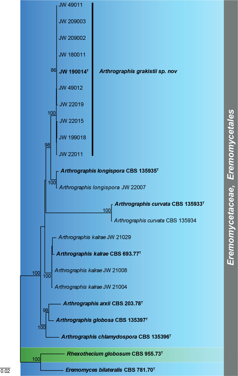 Fig. 6.