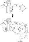 FIG. 7