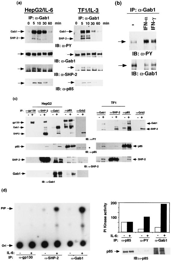 FIG. 1