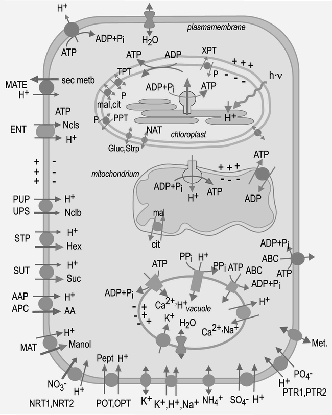 Figure 9.