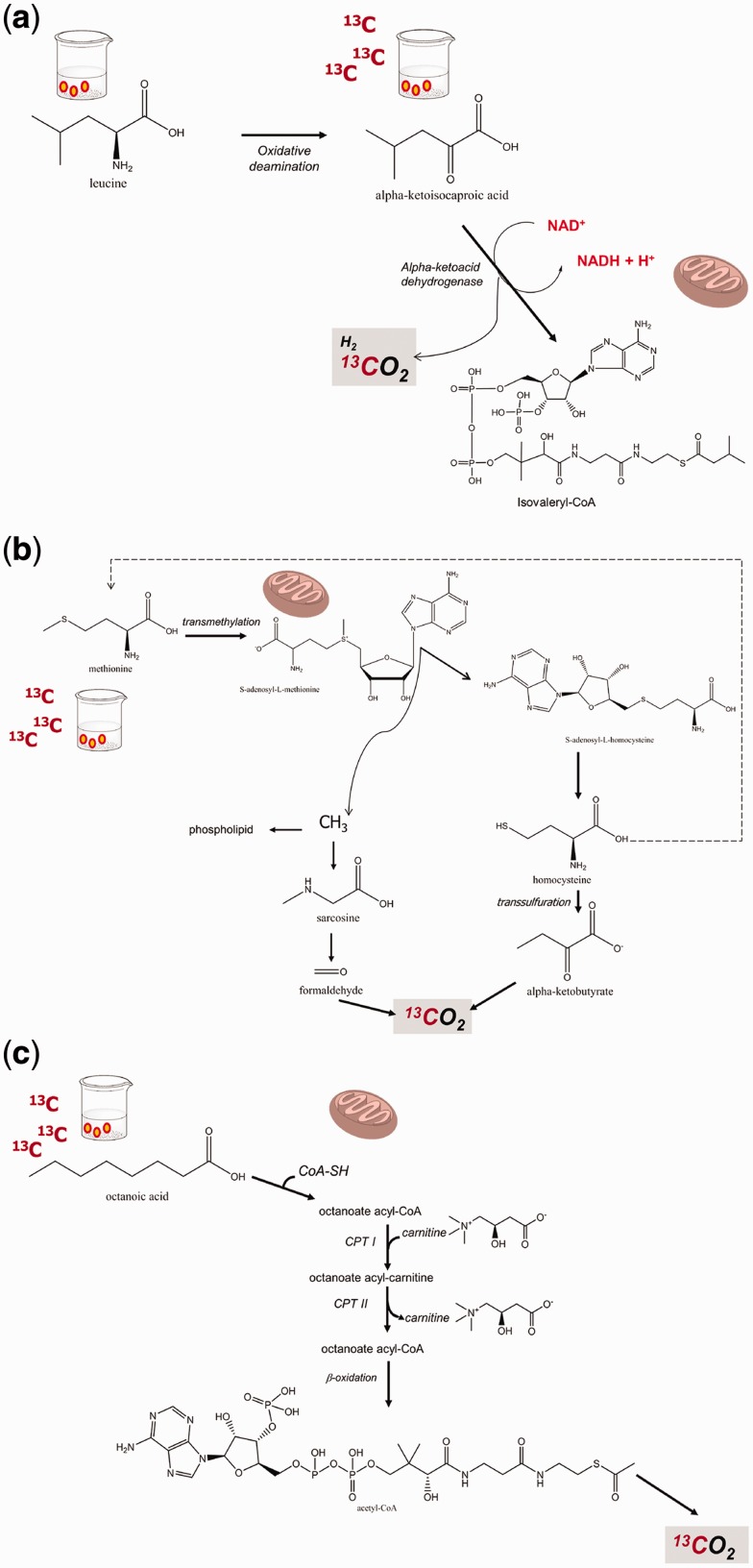 Figure 3.