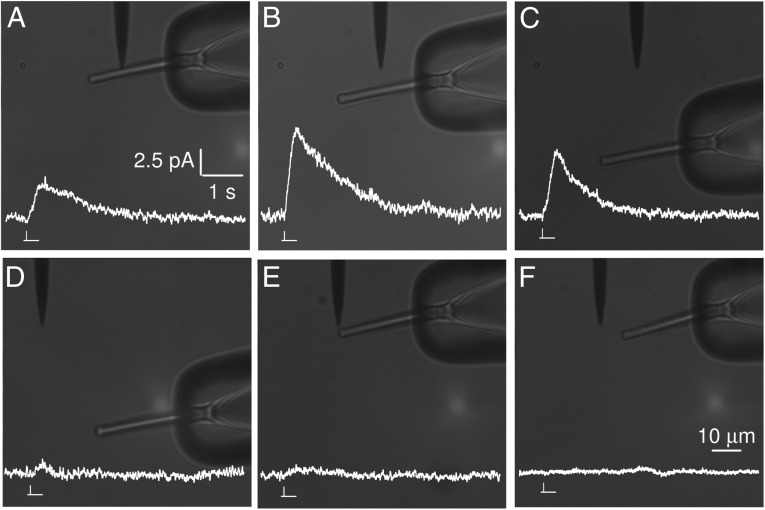 Fig. 3.