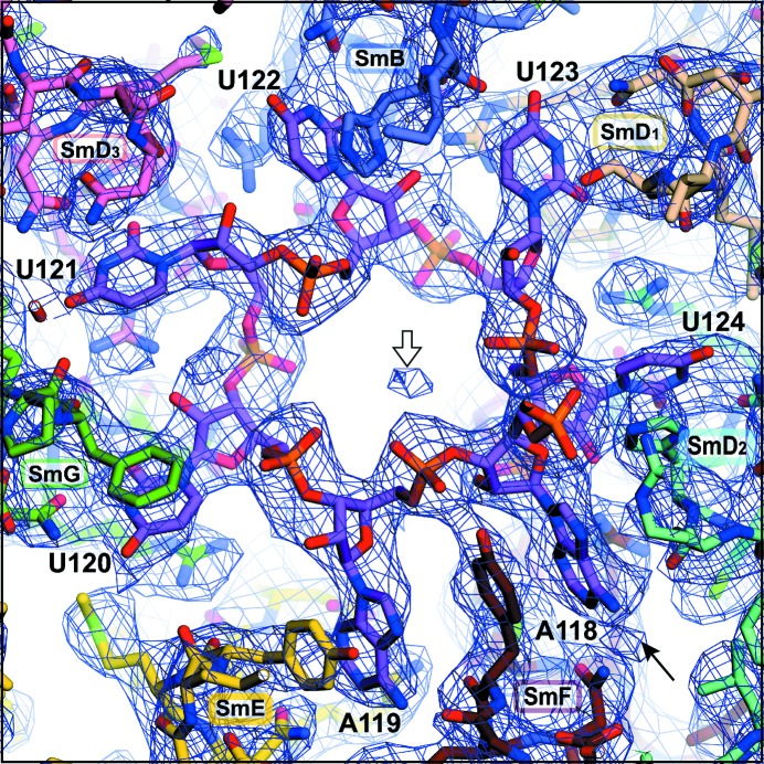 Figure 7