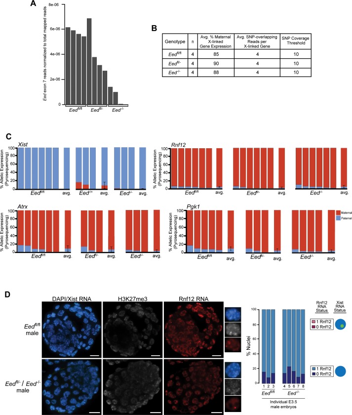 Figure 3—figure supplement 1.