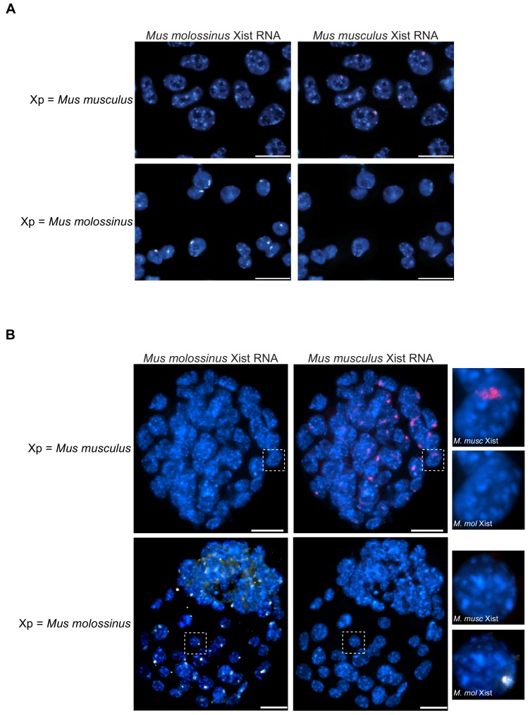 Figure 6—figure supplement 1.