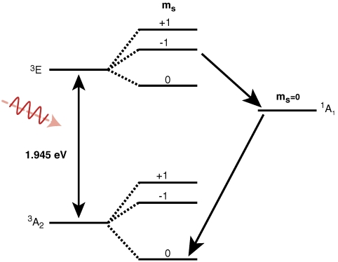 Fig. 1.