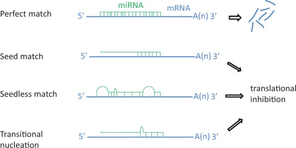 Fig. 2.—