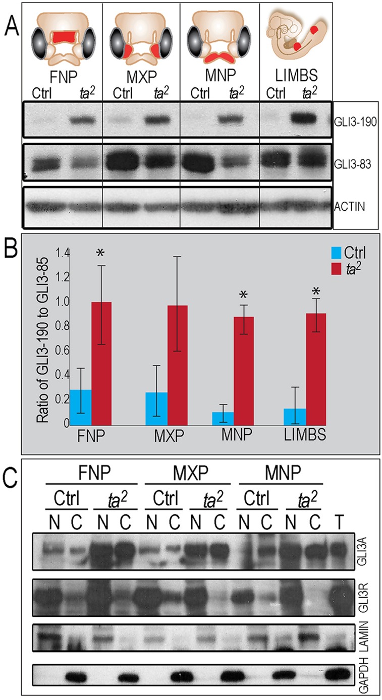 Fig. 5.