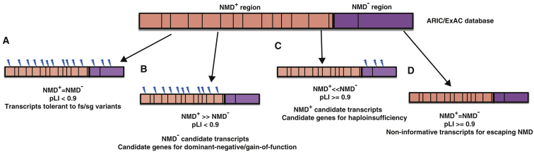 Figure 6