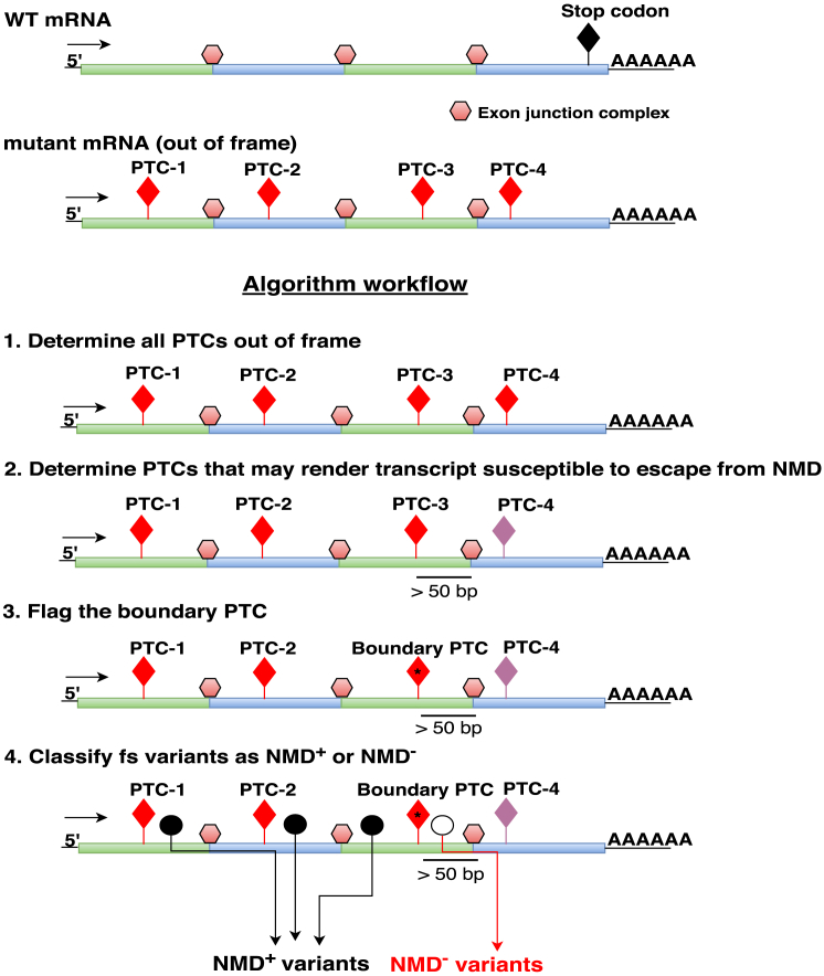 Figure 1