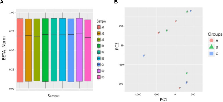 FIGURE 3