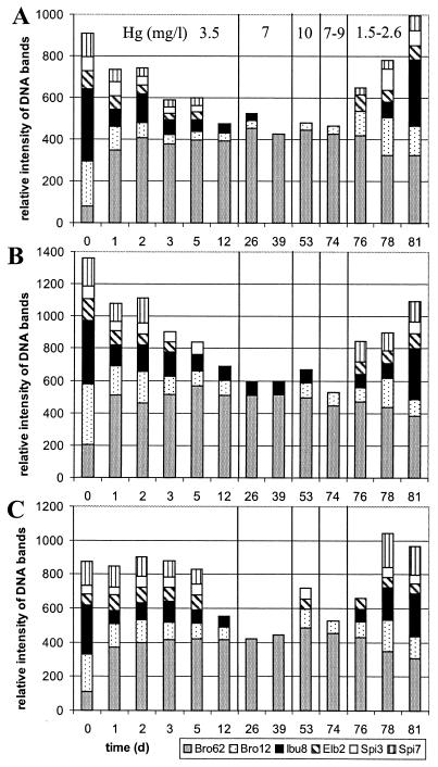 FIG. 6.