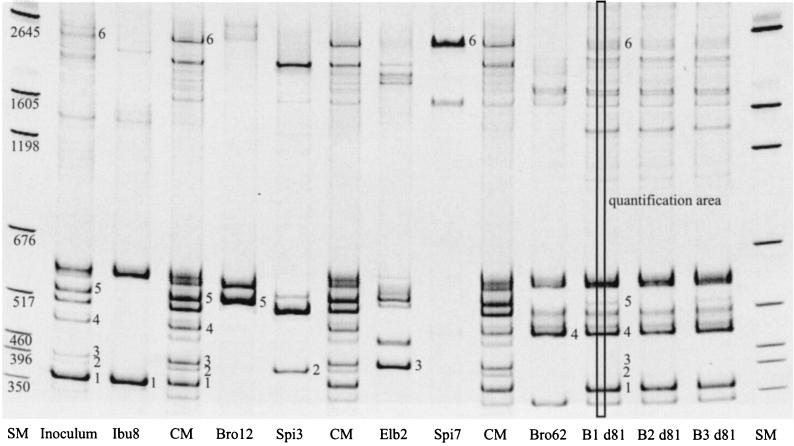 FIG. 5.