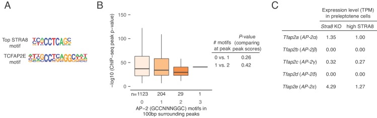 Figure 4—figure supplement 2.