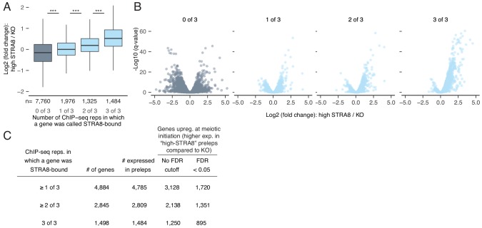 Figure 3—figure supplement 1.