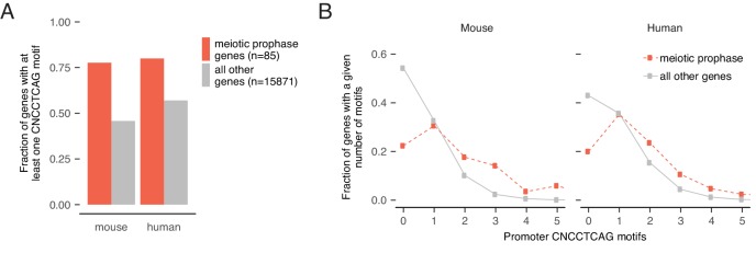 Figure 6—figure supplement 2.