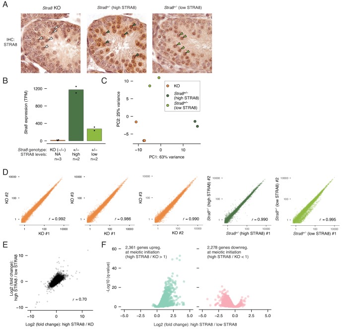 Figure 1—figure supplement 2.