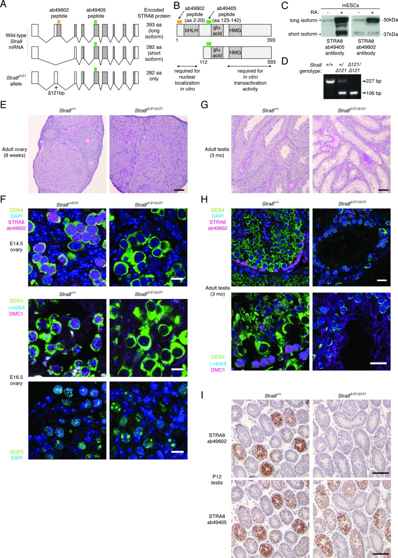 Figure 2—figure supplement 2.