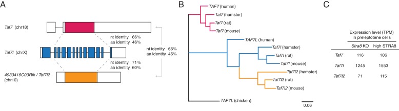 Figure 6—figure supplement 1.