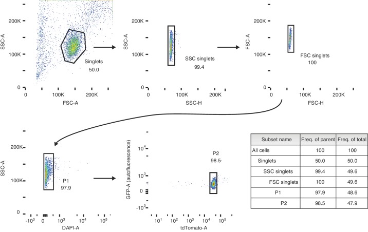 Figure 1—figure supplement 1.