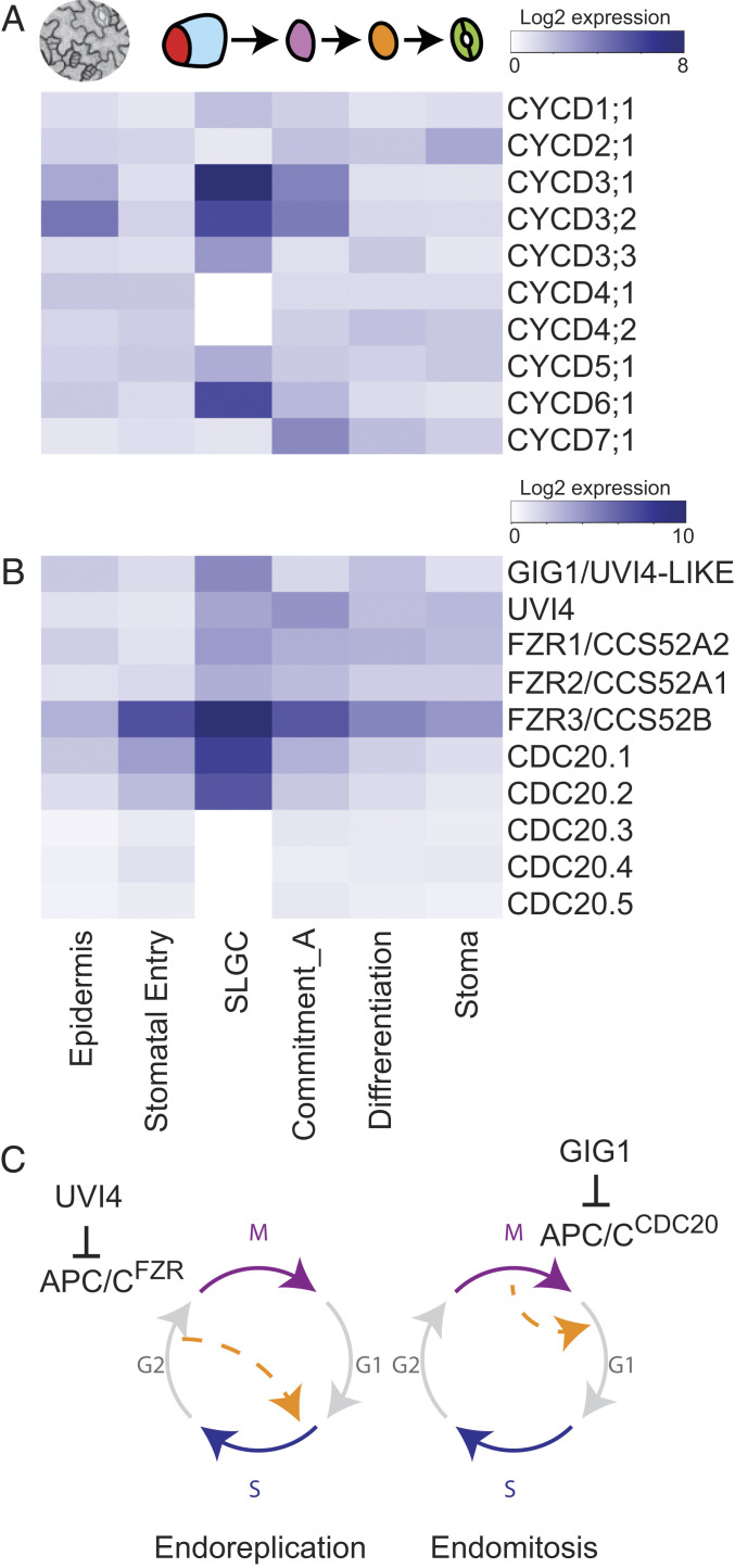 Fig. 3.