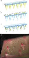 Fig. 4