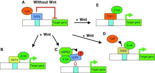 Fig. 4.