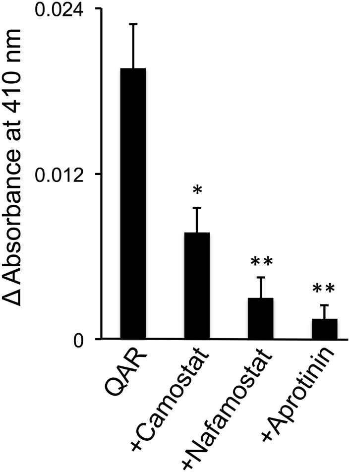 Fig 7