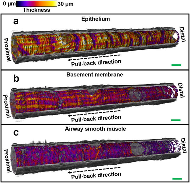 Fig. 5.