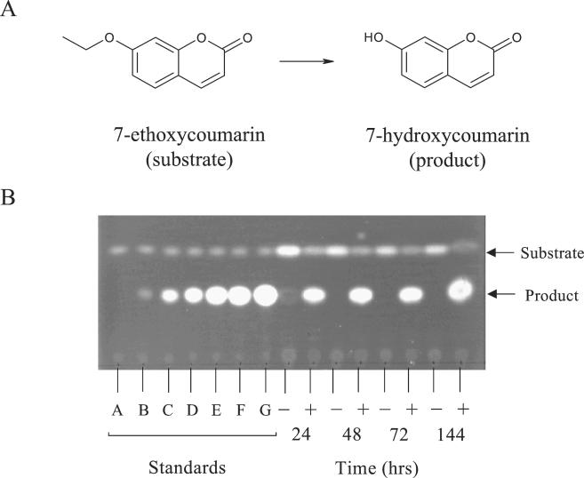 FIG. 8.