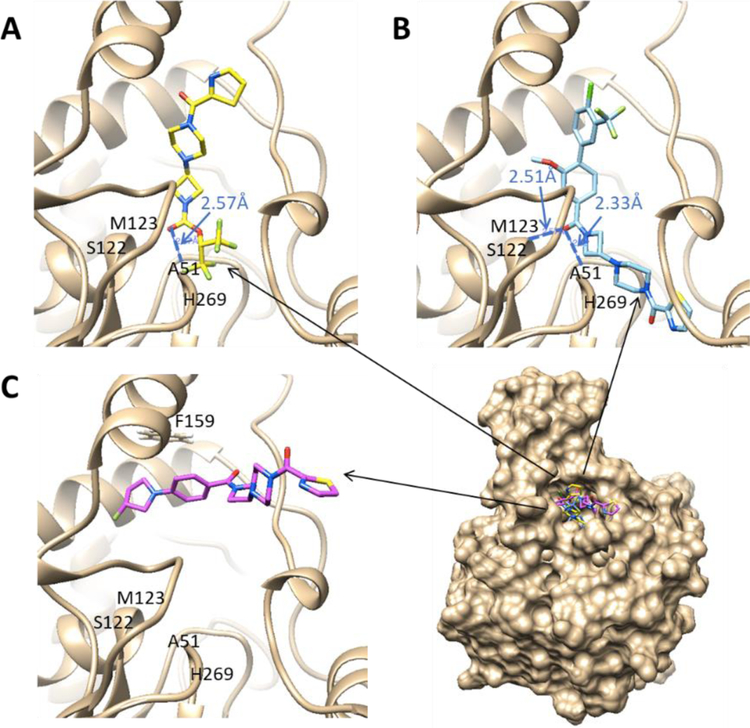 Figure 5.